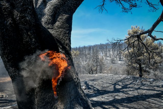 Χαρδαλιάς – Δύσκολες «μάχες» σε Εύβοια και Ηλεία – Βελτιωμένη η εικόνα στην Αττική