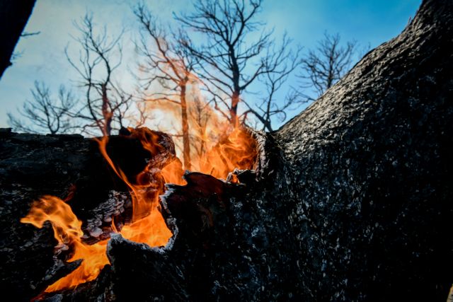 Πυρκαγιές – Χωρίς ρεύμα 17.000 νοικοκυριά σε Αττική και Βόρεια Εύβοια