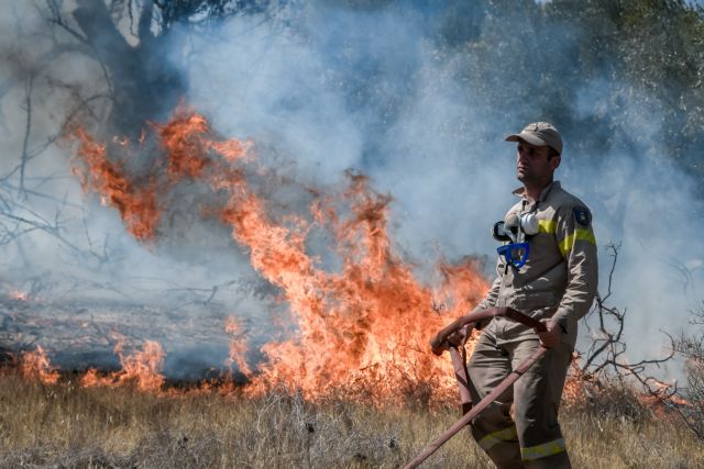 Δασικές πυρκαγιές – Πρόληψη, καταπολέμηση και αντιμετώπιση περιβαλλοντικών συνεπειών