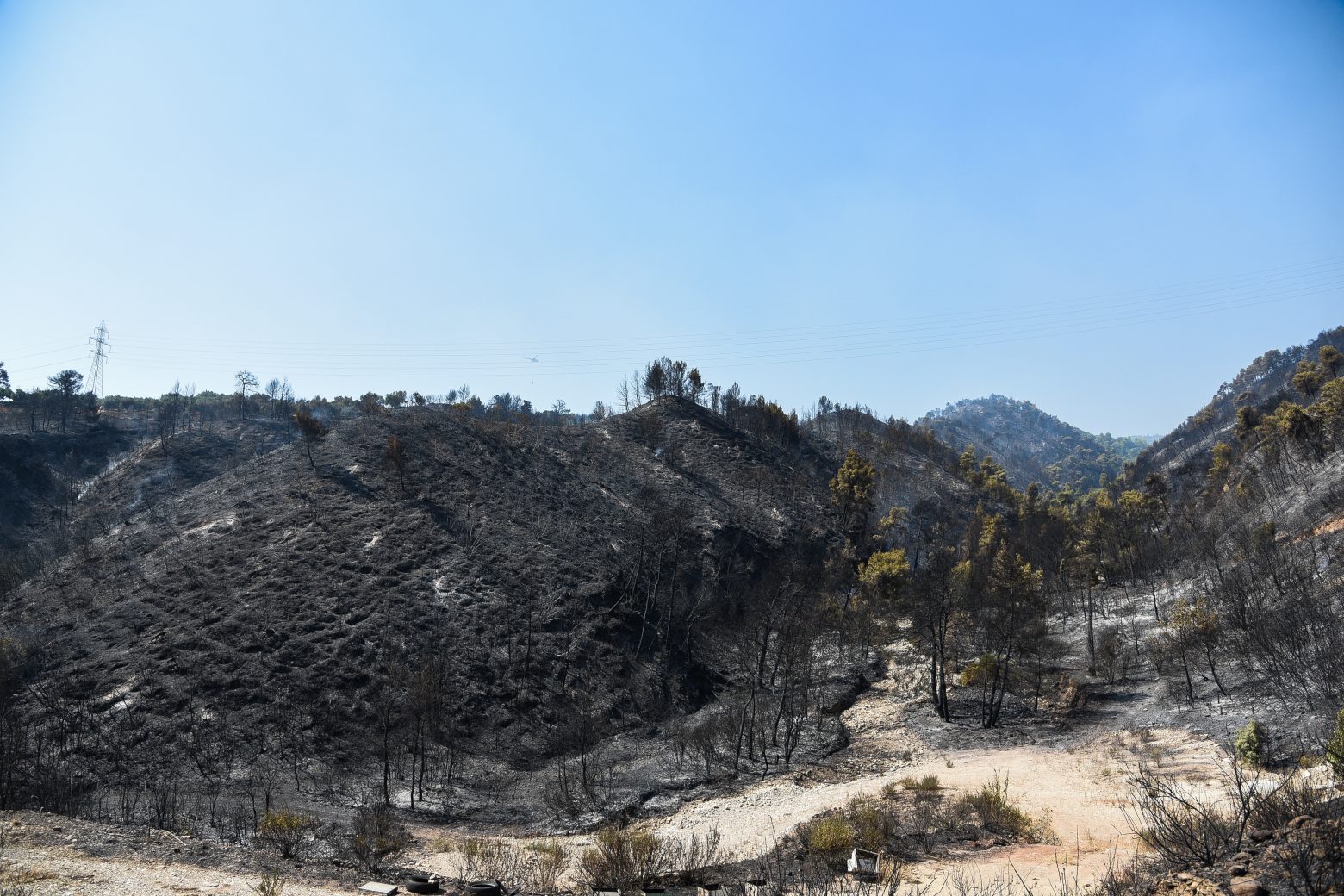 Φωτιά στην Αχαΐα – Πάνω από 3.000 καμένα στρέμματα καμένα