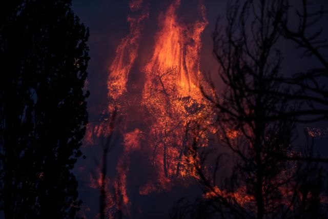 Σε πλήρη εξέλιξη τα πύρινα μέτωπα σε Εύβοια, Αρχαία Ολυμπία, Μεσσηνία