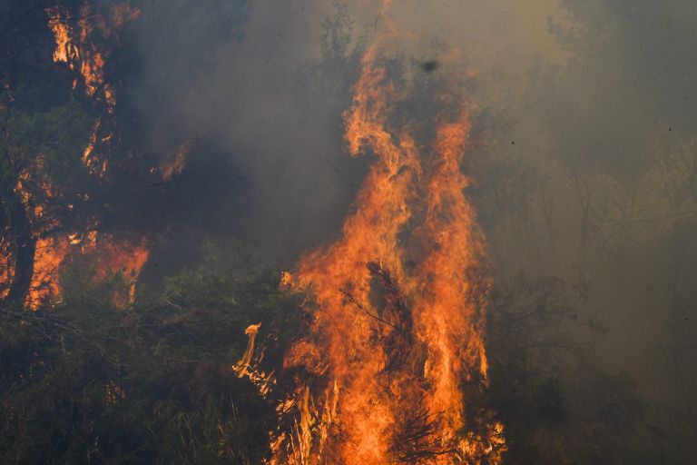 Πολύ υψηλός κίνδυνος πυρκαγιάς σε Αττική και Στερεά Ελλάδα την Παρασκευή