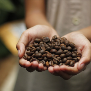 Commodities: Ασχημα νέα για την τιμή του καφέ και της ζάχαρης