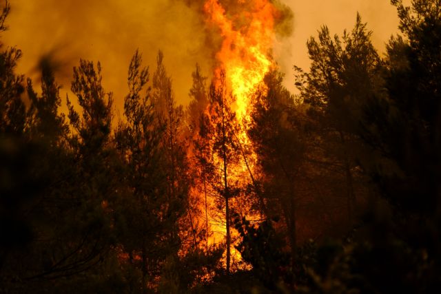 Εύβοια – Συνεχίζει να καίει η φωτιά στον Φηγιά Καρύστου