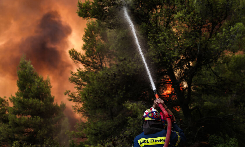 Κάηκε το 1/3 των δασών της Εύβοιας