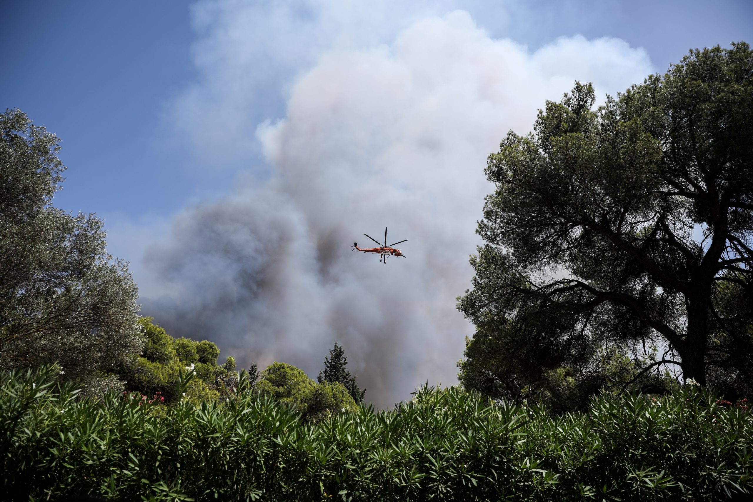 «Σοκ » στο σύστημα υψηλής τάσης από την πυρκαγιά της Βαρυμπόμπης