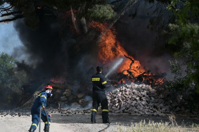 Fire in Lagyna, Evros