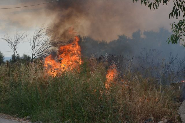 Μεγάλη φωτιά στη Μεγαλόπολη – Εισήγηση για εκκένωση οικισμού και μήνυμα του 112