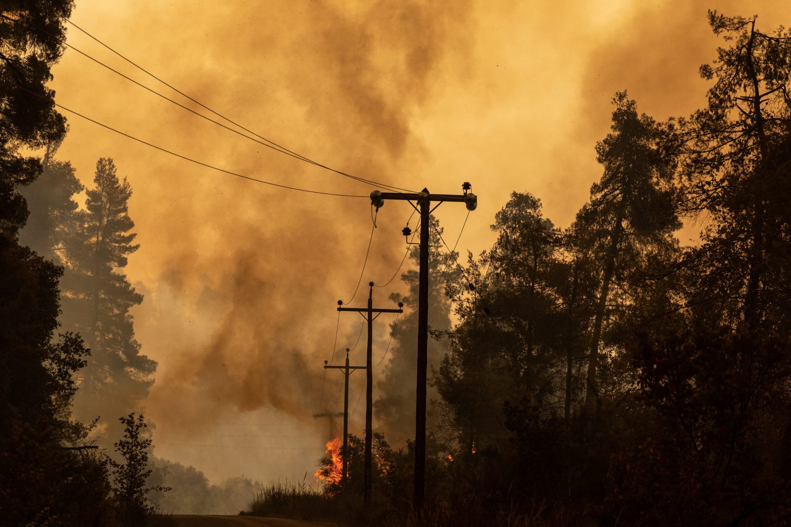 Major wildfires again bedevil Greece, from far northeast corner to greater Athens area; top prosecutor orders arson probe