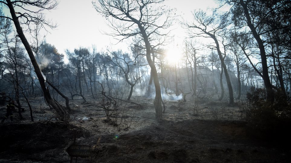 Λάθη κάνει μόνο ο άνθρωπος, όχι η φύση» - Οικονομικός Ταχυδρόμος - ot.gr