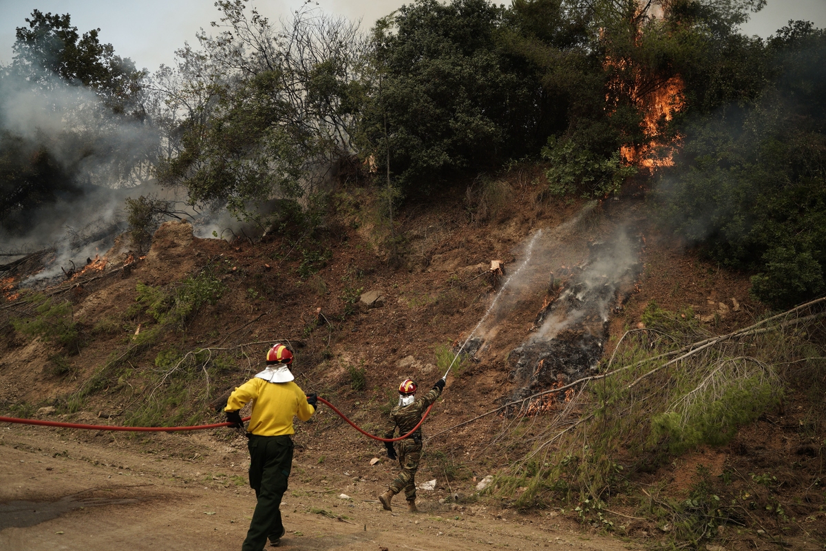 Εύβοια – Φωτιά σε δασική έκταση στην Πλατάνα – Αναζωπυρώσεις