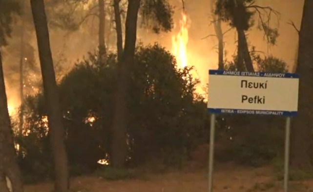 Φωτιά στην Εύβοια – «Χάνεται» η μάχη για το Πευκί – Καίγονται σπίτια