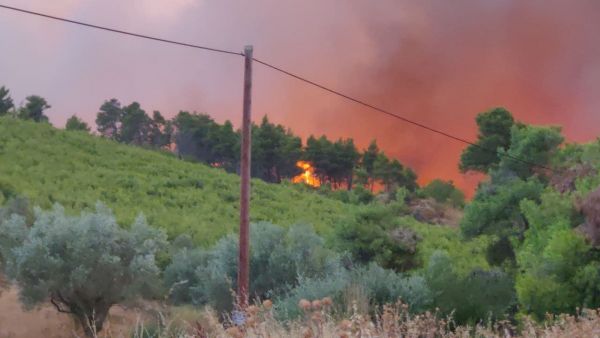 Απαγόρευση κυκλοφορίας στα δάση με Πράξη Νομοθετικό Περιεχομένου