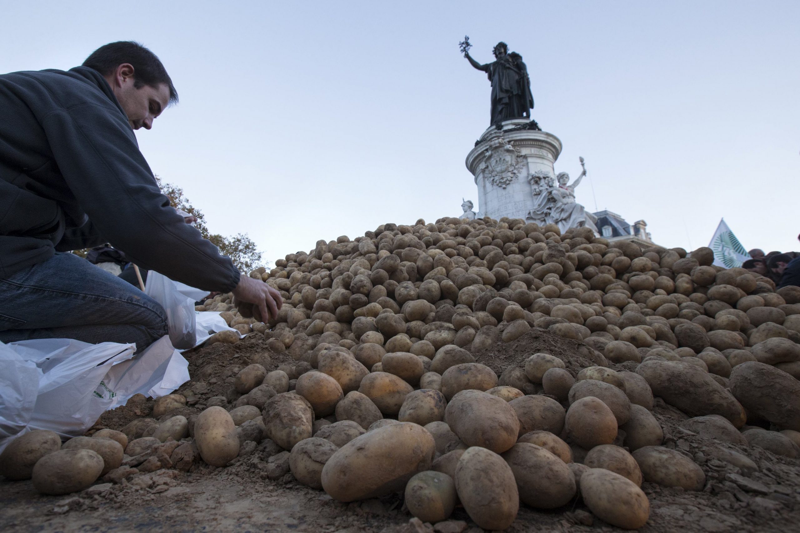 Πέντε χώρες ελέγχουν την παραγωγή πατάτας στην ΕΕ – Η θέση της Ελλάδας [Πίνακες]