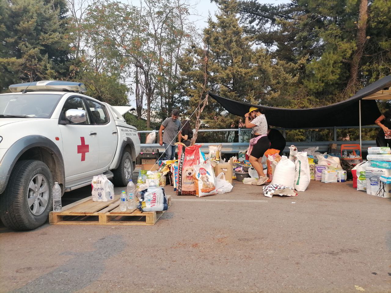 Δραματική έκκληση του Ερυθρού Σταυρού μέσω του in.gr για βοήθεια στους πυρόπληκτους της Αττικής