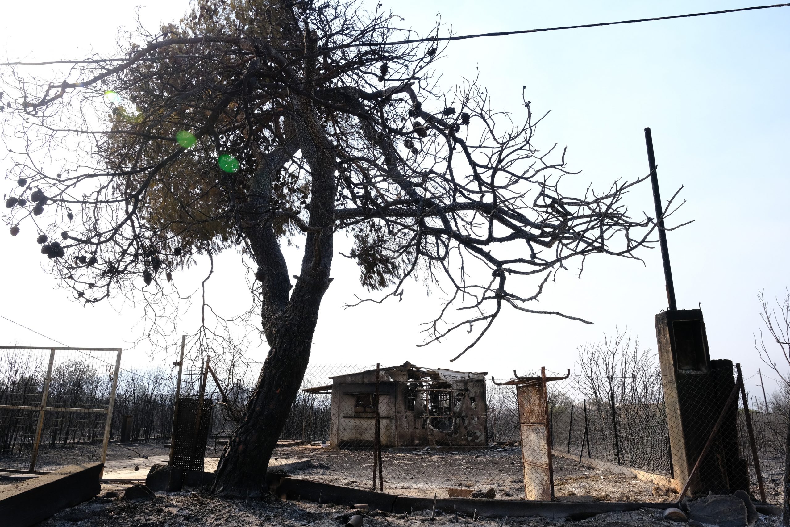 Βαρυμπόμπη – Εκτιμήσεις για 30.000 καμμένα στρέμματα – Τα αίτια της φωτιάς