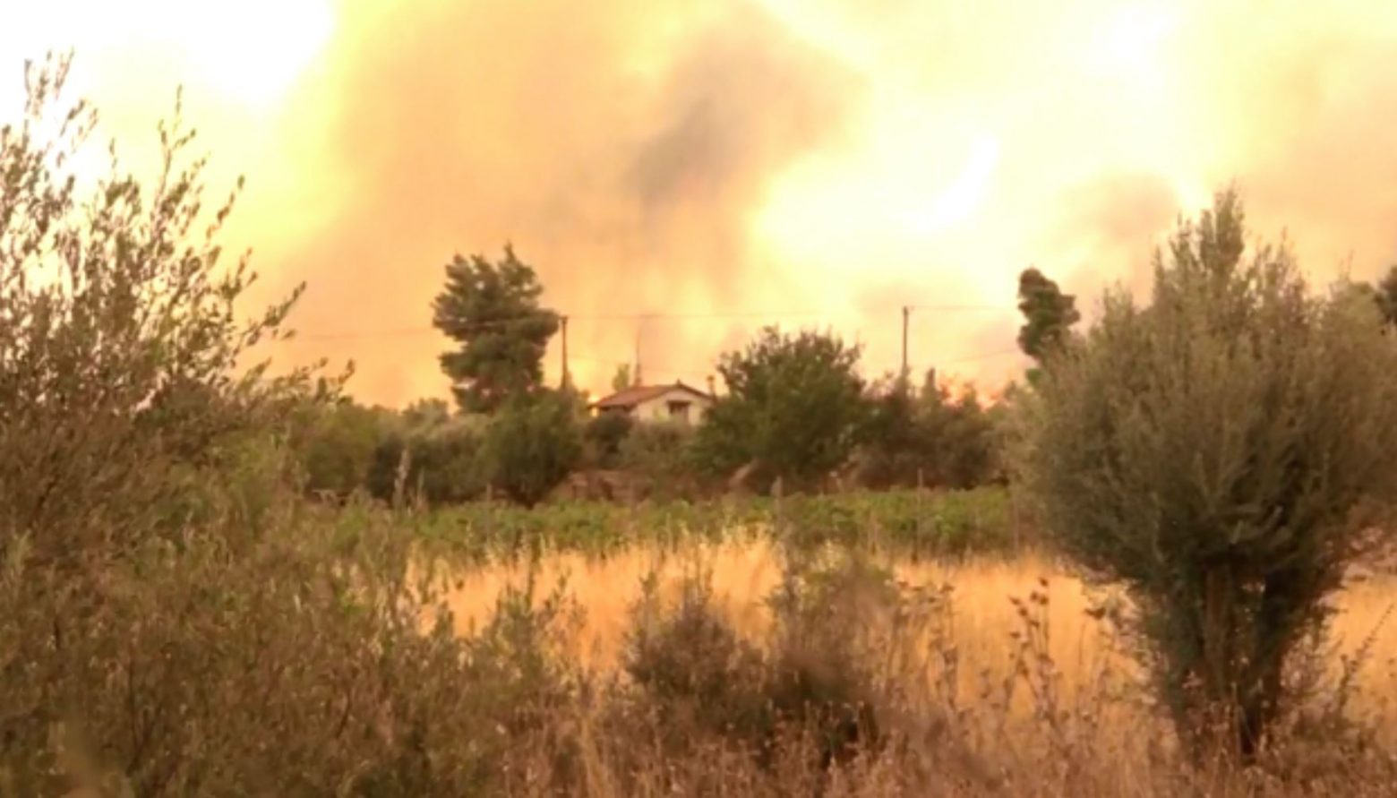 Βίλια – Καίγονται σπίτια – Το πύρινο μέτωπο έχει κυκλώσει τον οικισμό