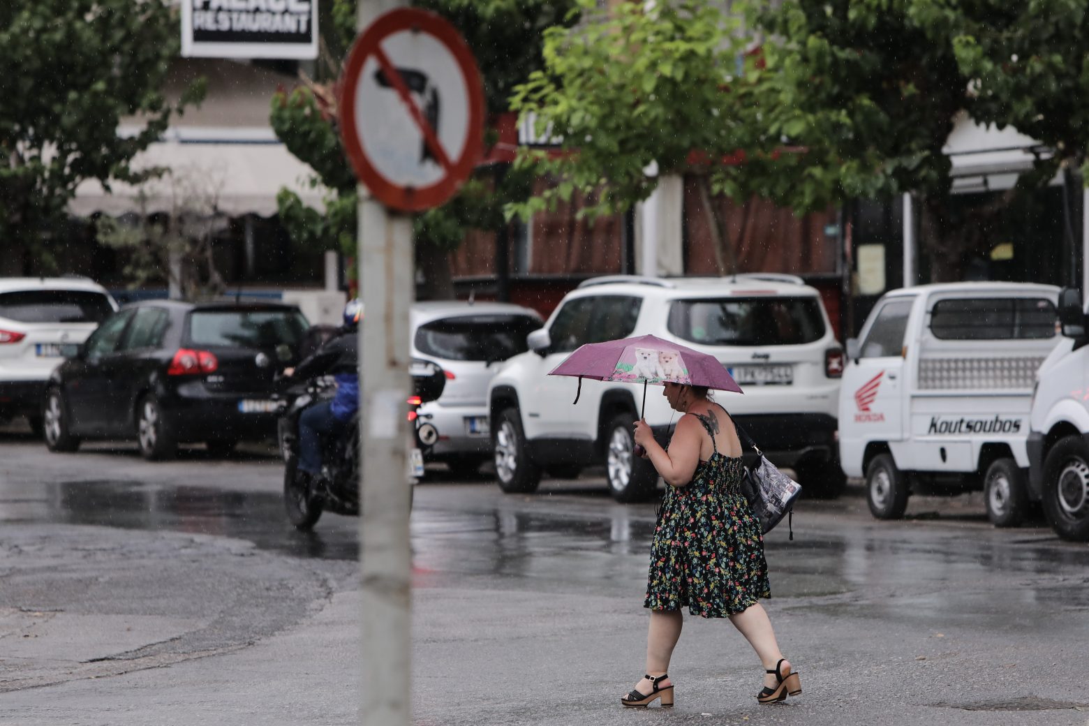 Καιρός: Αλλαγή σκηνικού με βροχές και καταιγίδες – Δείτε σε ποιες περιοχές