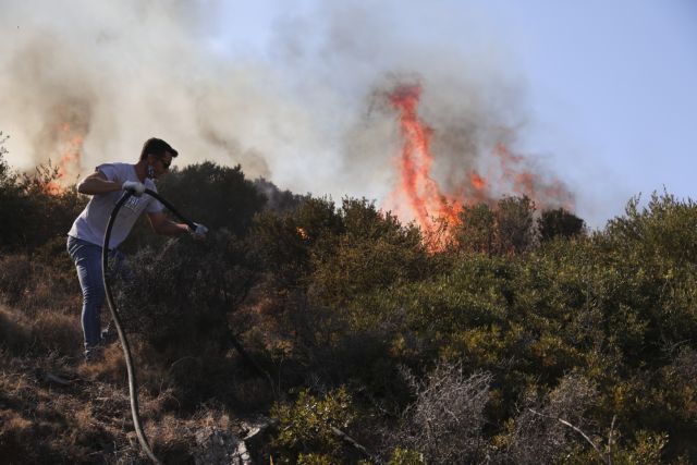Fire in Vilia – Evacuation of the settlement Veniza