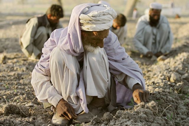 Αφγανιστάν – Απαγορεύουν την καλλιέργεια οπίου οι Ταλιμπάν