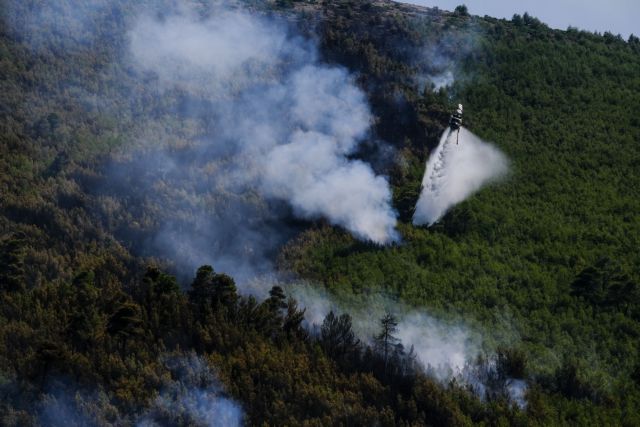 Μάχη με τις φλόγες για δεύτερη νύχτα στα Βίλια- Καίγεται η κορυφογραμμή του Όρους Πατέρα