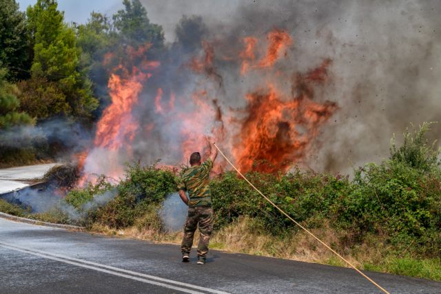 Wildfire in Megalopolis, southern Greece