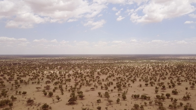 ΟΗΕ – Δραματικές οι επιπτώσεις της κλιματικής αλλαγής για την Αφρική