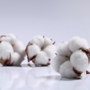 Βαμβάκι: Γιατί τα hedge funds έγιναν ταύροι