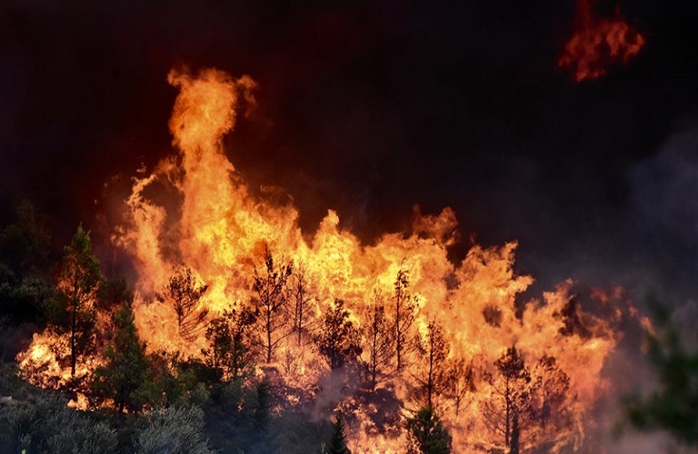 Πυρκαγιές – Πως θα χορηγείται η αποζημίωση στις αγροτικές εκμεταλλεύσεις