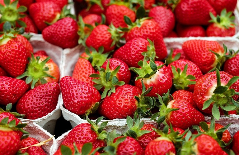 Φράουλα και επιτραπέζια ελιά στις διεθνείς αγορές