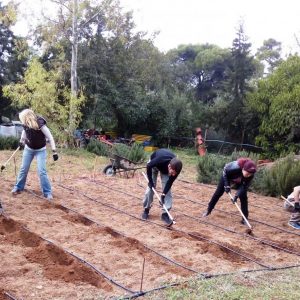 ΕΛΓΟ – Δήμητρα: Ολοκληρώθηκε η απόδοση υποτροφιών σε καταρτιζόμενους