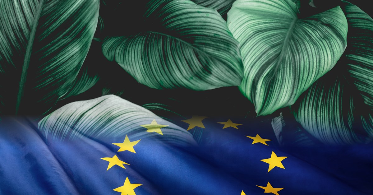 Κορκίδης για τον κανονισμό «EU taxonomy» – Είναι ο νέος όρος αειφορίας στην ΕΕ