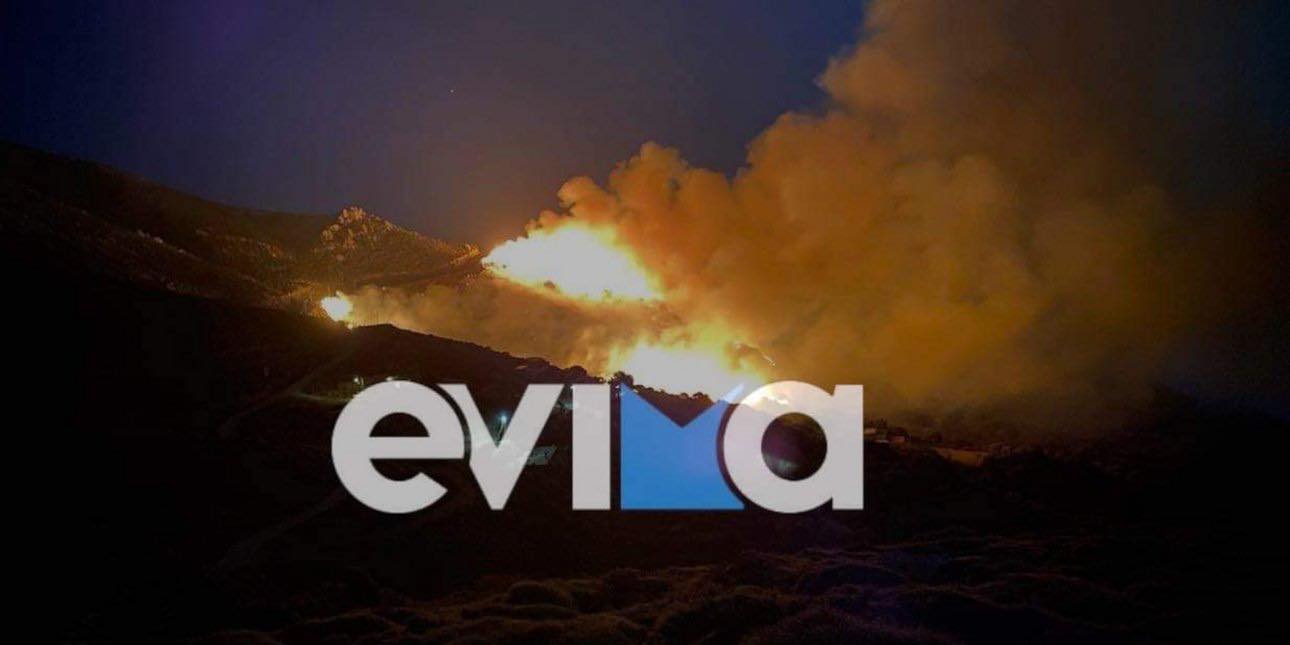 Φωτιά στην Εύβοια – Κοντά στα σπίτια οι φλόγες στο Μαρμάρι