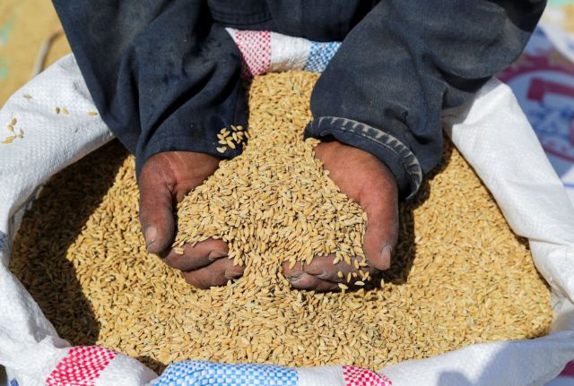Eπισιτιστική κρίση: Θα «σκοτώσει» περισσότερους από όσους η Covid