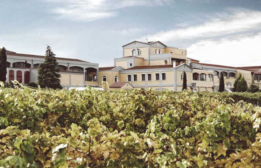 Greek vineyard Domaine Costa Lazaridi: Significant increase in turnover and profits in the 9th month