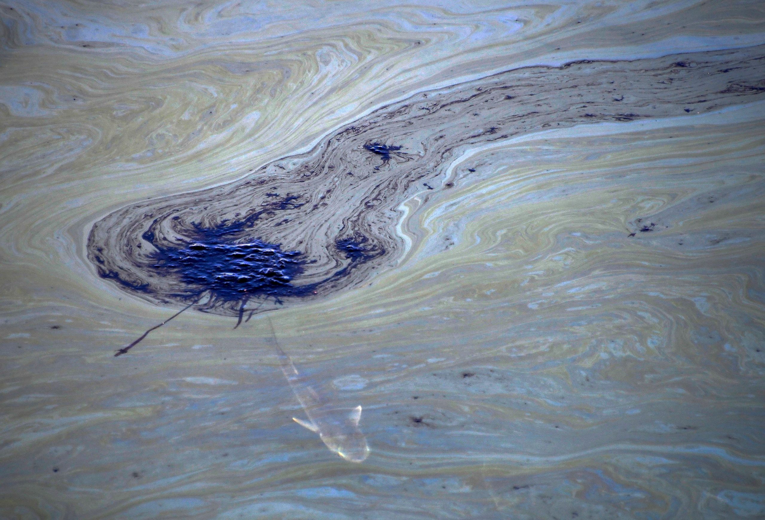 Καλιφόρνια – Περιβαλλοντική καταστροφή από πετρελαιοκηλίδα 13 τετραγωνικών μιλίων
