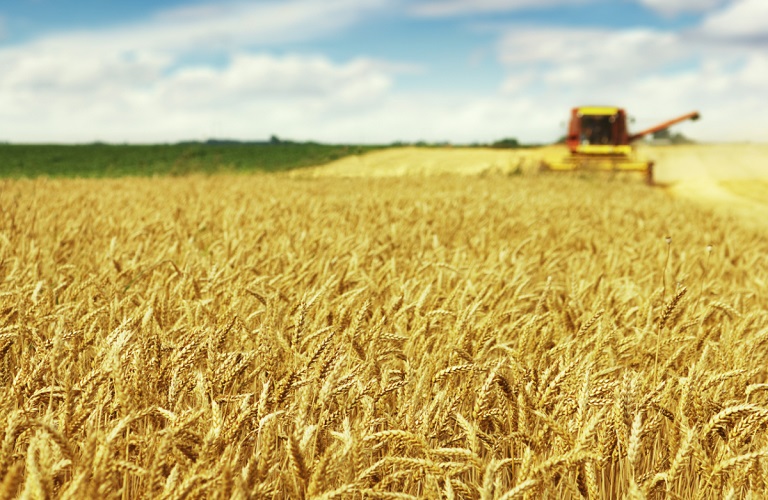Κομισιόν: Λωρίδες αλληλεγγύης για τις εξαγωγές ουκρανικών γεωργικών προϊόντων