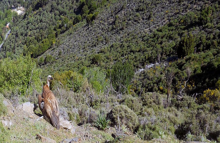 Πιστοποίηση προϊόντων σε προστατευόμενες περιοχές και περιοχές Natura 2000