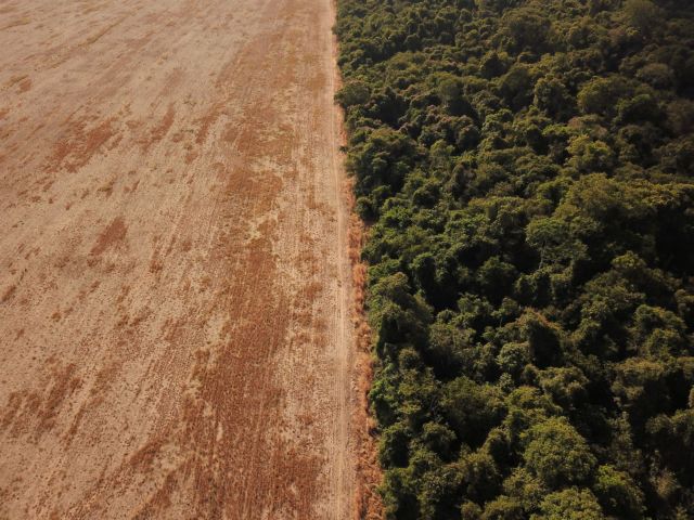 Βραζιλία – Ανυπολόγιστη η καταστροφή από την εκμετάλλευση των τροπικών δασών