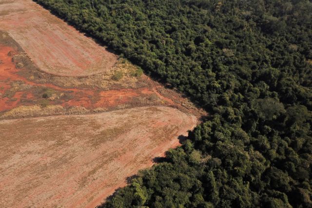 Ε.Ε. – Ριζοσπαστική νομοθεσία θα μπλοκάρει εισαγωγές προϊόντων που ευθύνονται για την αποψίλωση των δασών