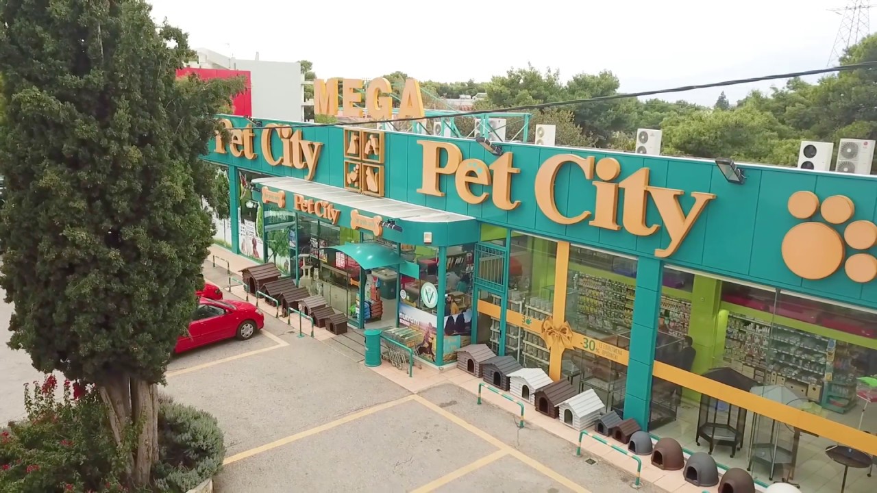 Pet City – How Mantzouranis Mantzouranakis and his family became willing sellers