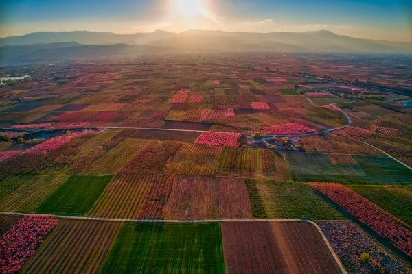ΥΠΑΑΤ – Είκοσι προγράμματα ύψους 3,5 δισ. ευρώ για τον πρωτογενή τομέα