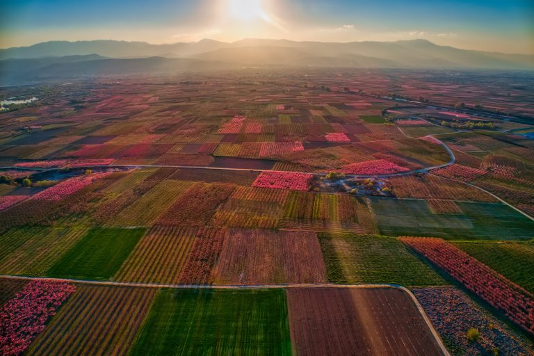 ΥΠΑΑΤ – Είκοσι προγράμματα ύψους 3,5 δισ. ευρώ για τον πρωτογενή τομέα