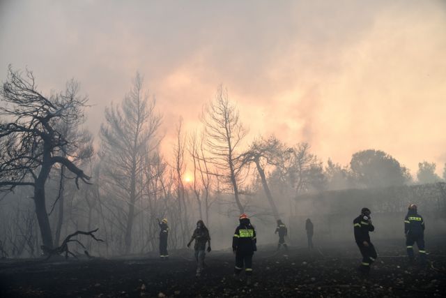 Τέσσερις μήνες μετά – Πτήση πάνω από τις καμένες εκτάσης της Αττικής