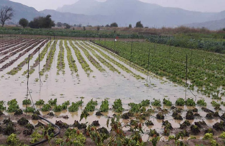 Δυτική Ελλάδα – Πότε θα καταβληθούν οι αποζημιώσεις από τις πρόσφατες καταστροφές