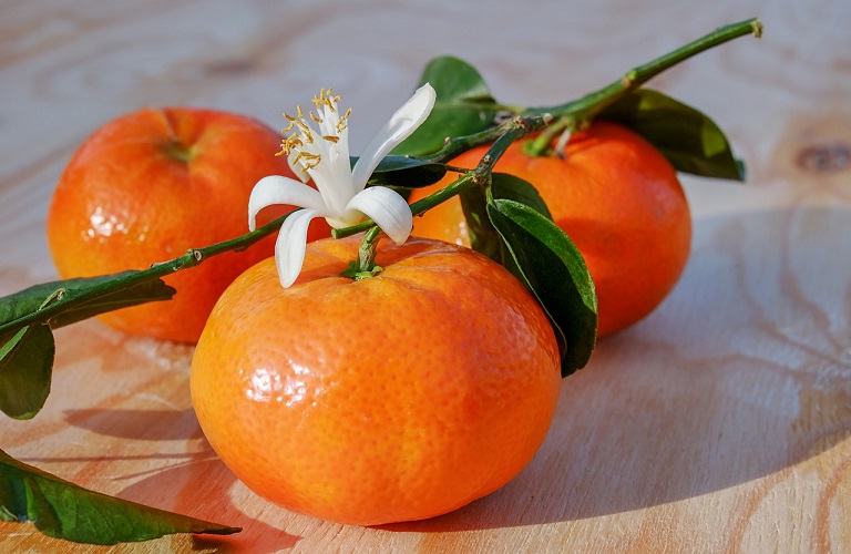 Exports – Good yields for tangerines