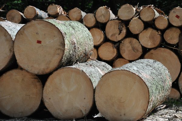 EE – Η προσφυγή στον ΠΟΕ για τους ρωσικούς περιορισμούς στις εξαγωγές ξυλείας