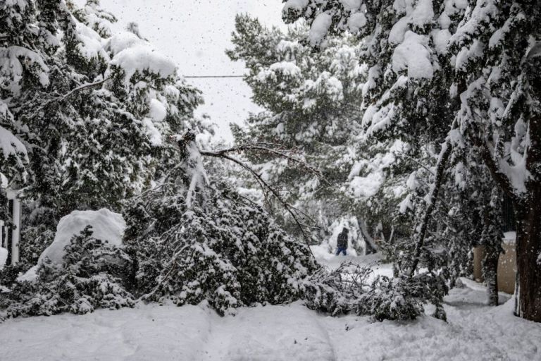 Καιρός – Ποδαρικό με χιόνια και πτώση θερμοκρασίας κάνει ο Δεκέμβριος