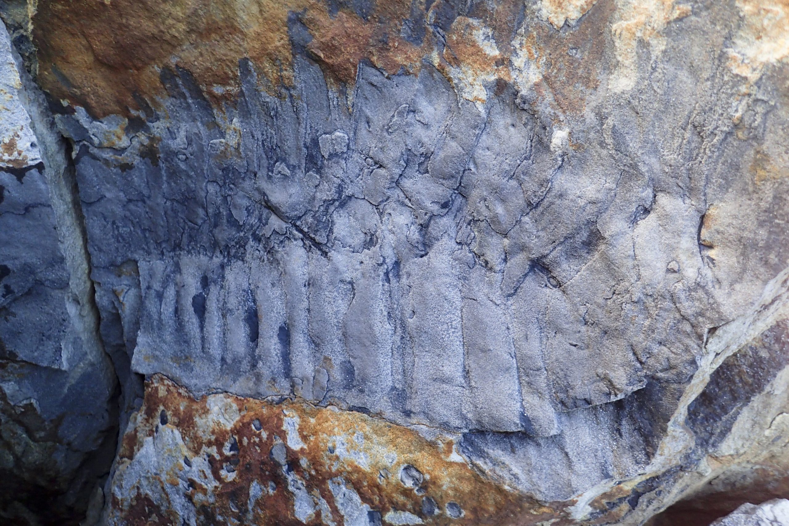 Βρετανία – Ανακαλύφθηκε το μεγαλύτερο αρθρόποδο που έχει βρεθεί ποτέ στη Γη