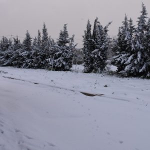 Κακοκαιρία «Μπάρμπαρα»: Νέες έντονες χιονοπτώσεις σε Αττική, Εύβοια το βράδυ της Δευτέρας